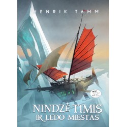 Nindzė Timis ir ledo miestas (5)