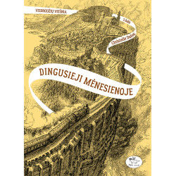 Dingusieji mėnesienoje. Veidrodžių viešnia (2) (-80 %)