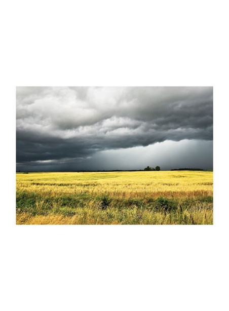 AMV76/134 Audros debesys nuplauks ir vėl šypsosis giedra/The stormy clouds will float away and the clear sky will smile again AMV76/134 Audros debesys nuplauks ir vėl šypsosis giedra/The stormy clouds will float away and the clear sky will smile again
