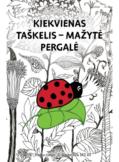 MZ83. Metalinis ženkliukas „Mažais žingsneliais tikslo link“