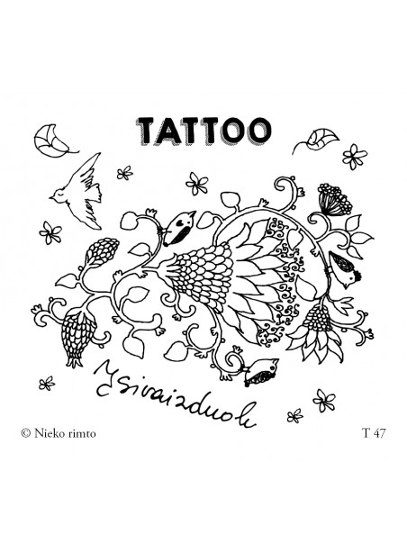 T47. Laikinos tatuiruotės „Įsivaizduok“