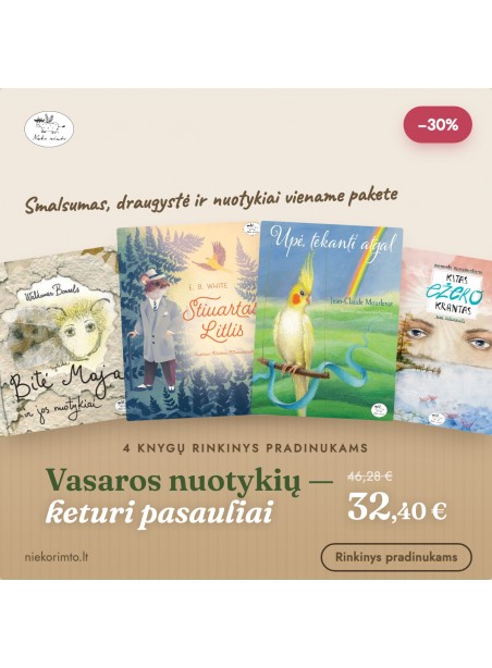 Pradinukams: Vasaros nuotykių — 4 knygų rinkinys