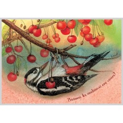 AMV146/134 Prisimeni, ką smaližiavai aną vasarą?