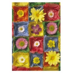 Spalvoti gėlių sveikinimai