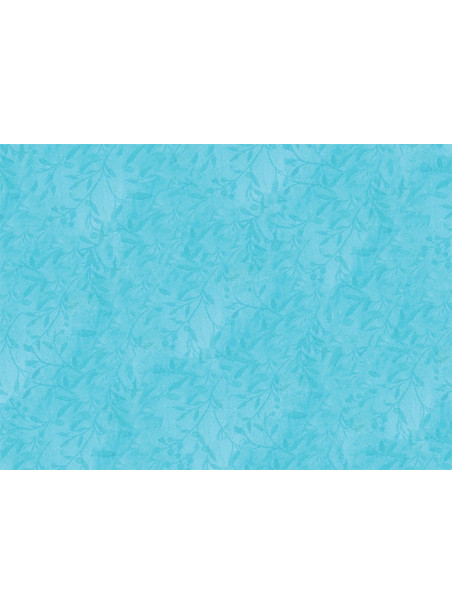 V63 V63