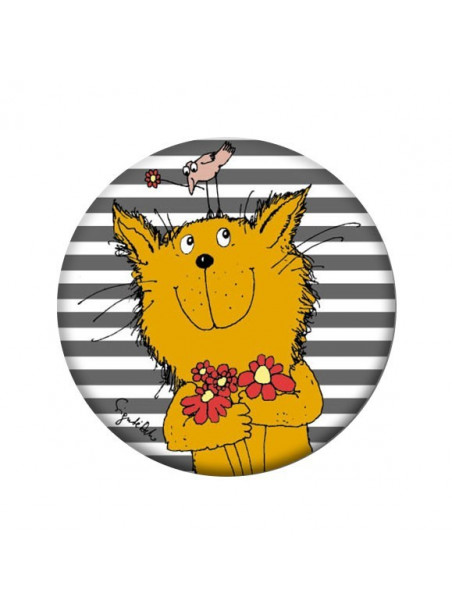 Z116. Katinėlis Z116. Katinėlis