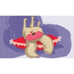 YMK142. Ypatingai mažų užrašų kortelių rinkinukas