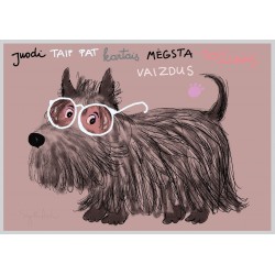 AMV236 Pro rožinius akinius