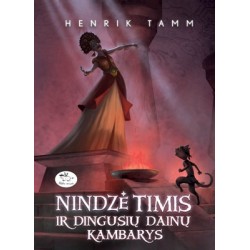 Nindzė Timis ir dingusių dainų kambarys (4)