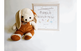 Kūdikio albumai